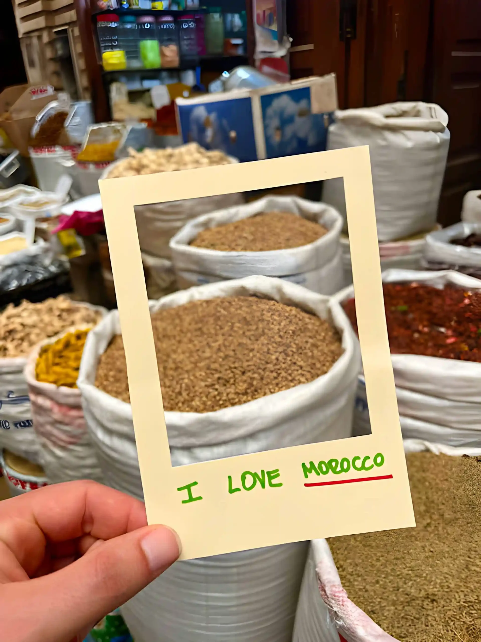 Kontakt rundmarokko – Gewürze auf einem marokkanischen Markt als Inspiration für deinen Marokko Urlaub