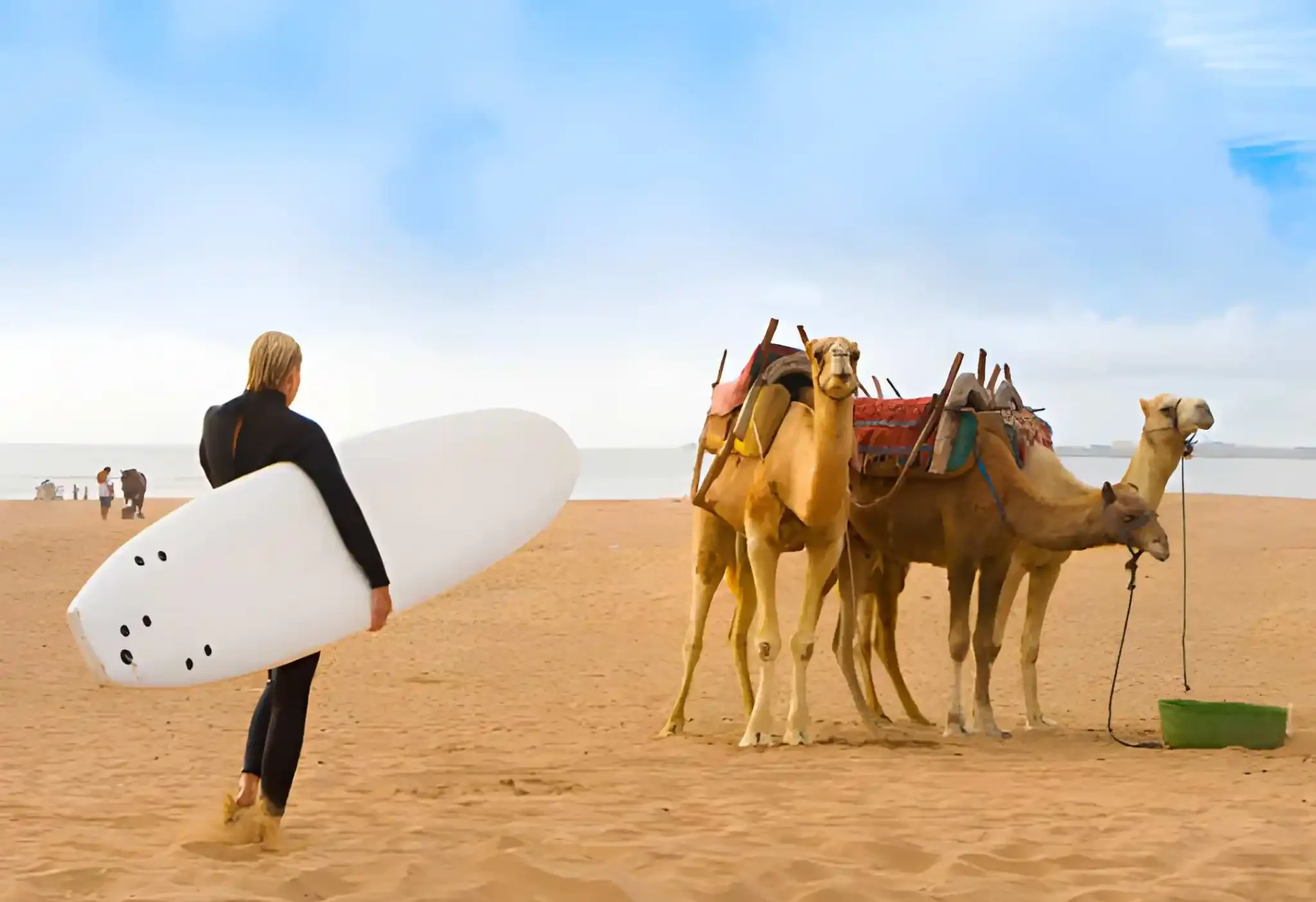 Kamele in der marokkanischen Wüste und ein Surfer am Strand – Aktivitäten in Marokko