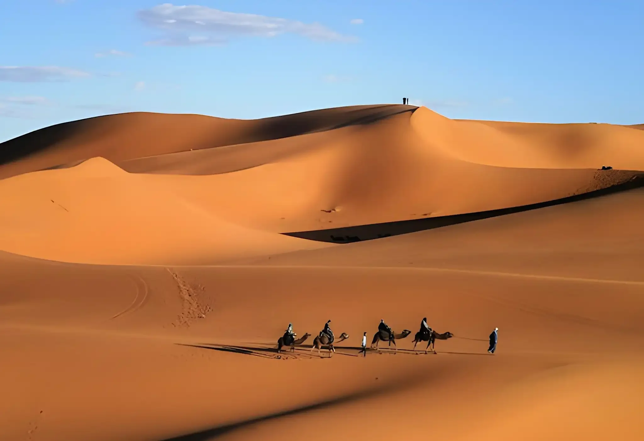 Wüstenreise in Marokko – Kamelkarawane in den Dünen der Sahara